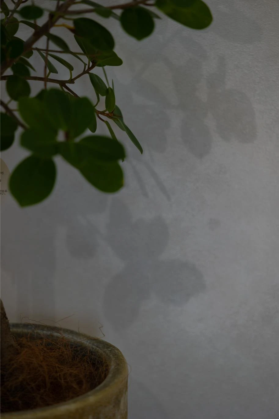 施工事例24 写真16