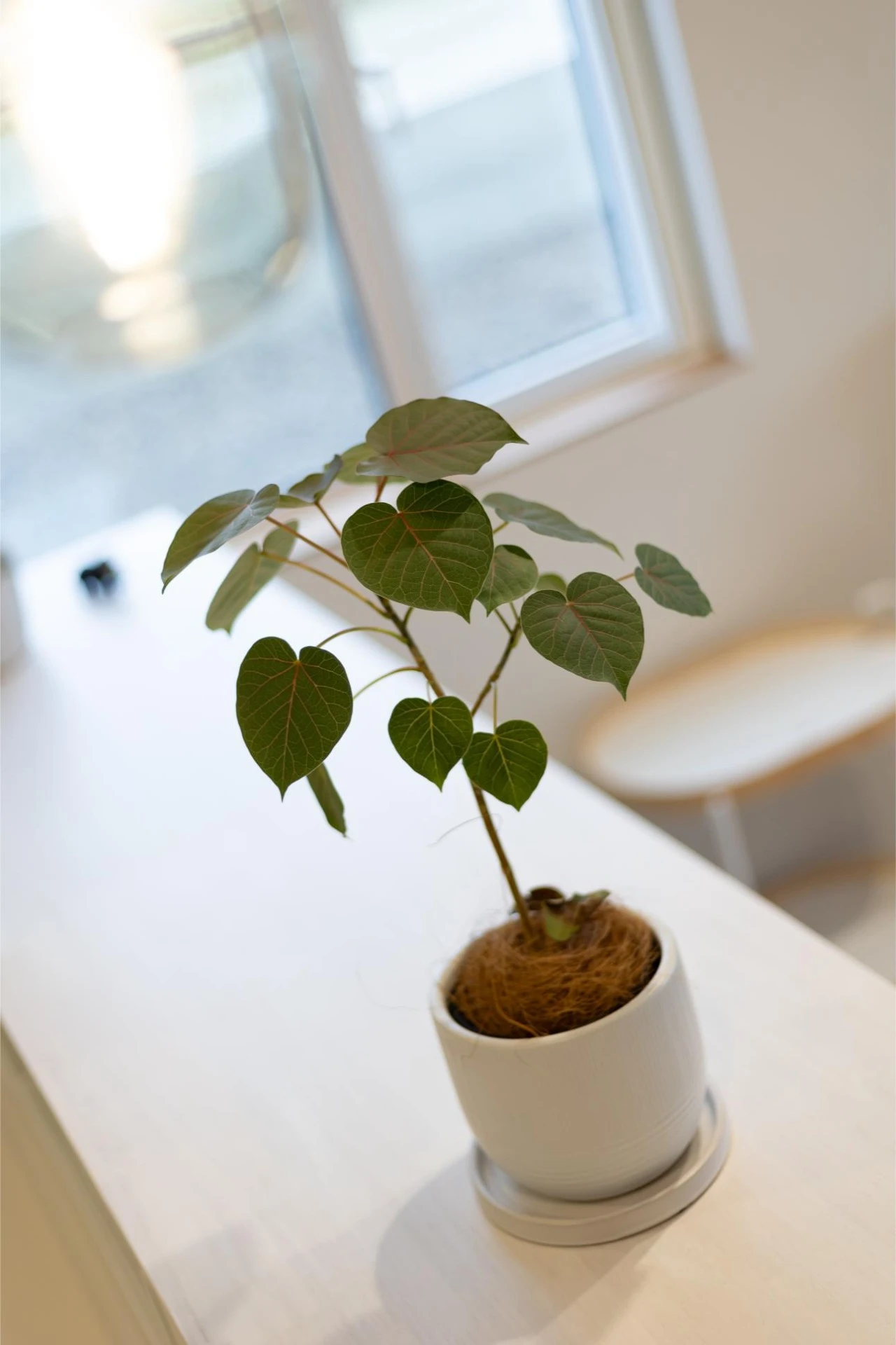 施工事例22 写真35