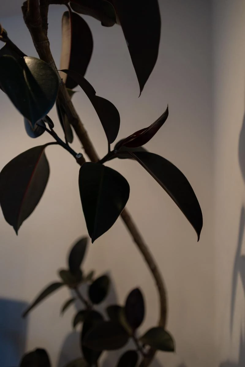 施工事例20 写真13