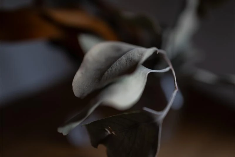 施工事例20 写真11