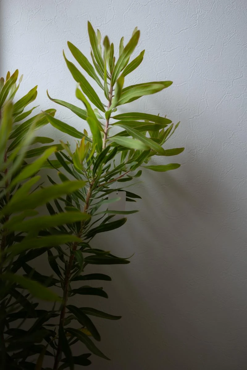 施工事例20 写真10